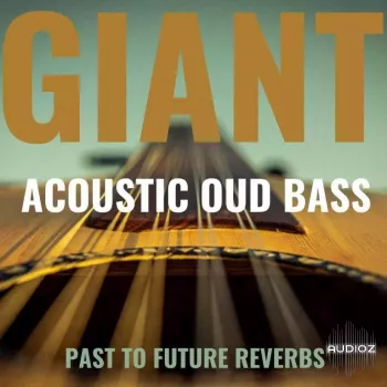 PastToFutureReverbs Giant Acoustic Round-Back Fretless Bass KONTAKT WAV