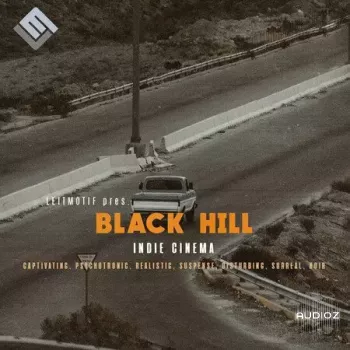 Leitmotif Black Hill: Indie Cinema WAV-FANTASTiC screenshot