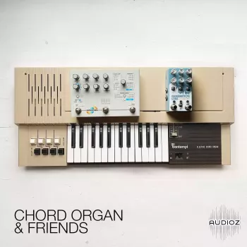 David Hilowitz Chord Organ and Friends [Patreon Exclusive] [Decent Sampler]-FANTASTiC screenshot