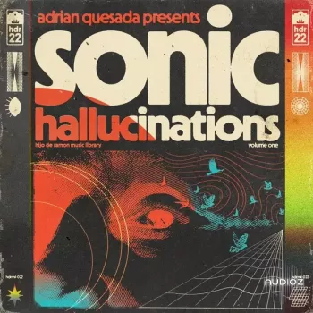 Hijo De Ramon Music Library 22 Sonic Halllucinations WAV-FANTASTiC