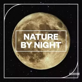 Blastwave FX Nature by NIght WAV-FANTASTiC