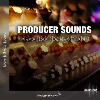 Image Sounds Producer Sounds - Electro Collection WAV screenshot