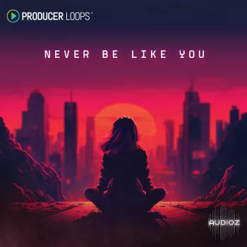 Producer Loops Never Be Like You MULTiFORMAT-FANTASTiC