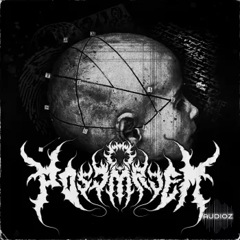 Savy Samples Baw The Symphony of The Saturated WAV-FANTASTiC screenshot