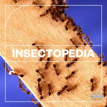 Blastwave FX Insectopedia WAV-FANTASTiC screenshot