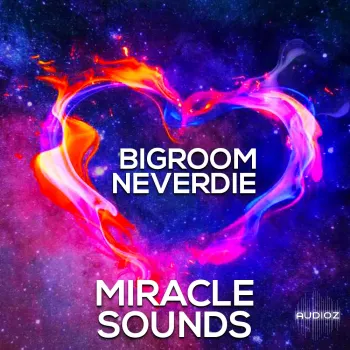 Miracle Sounds Bigroom Neverdie WAV MiDi FXP-FANTASTiC screenshot