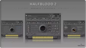 Insanity Samples HALFBLOOD 2 v1.5.0 KONTAKT screenshot