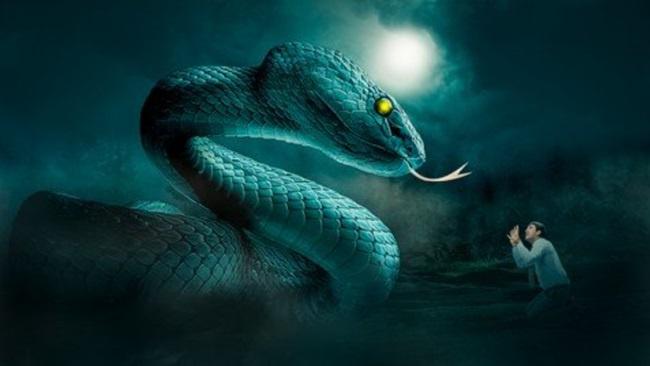Photoshop Advanced Manipulation Course – The Viper Snake