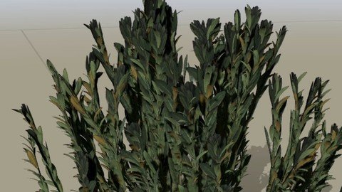 Speedtree Foliage Guide: Creating 3Dgrass And Bushes For Ue5