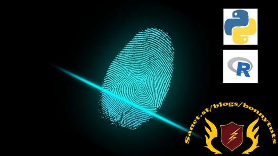 Investigative Data Analytics: Python vs. R