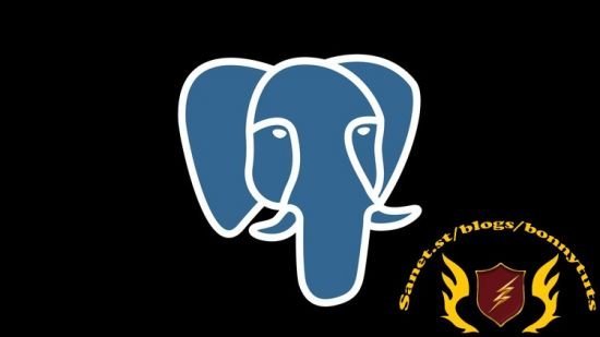 The Complete Introduction to PostgreSQL Course 2024