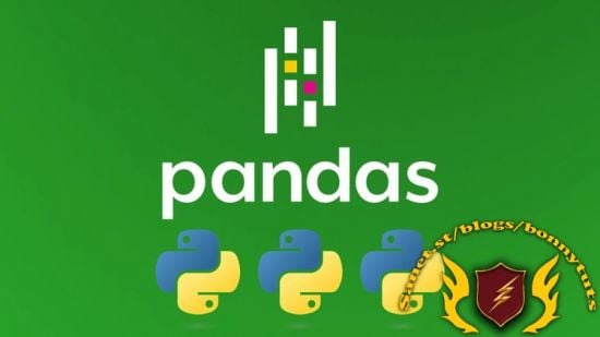 Master Pandas and Python for Data Handling