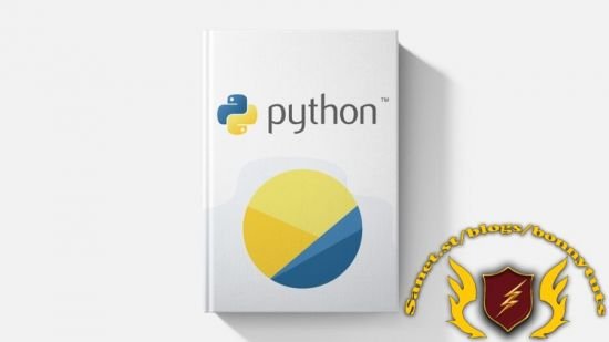 Python: The Professional Guide For Beginners (2024 Edition)