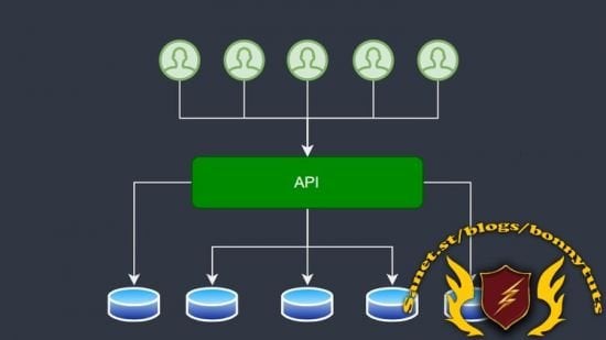 Advanced .NET Web API: Multi-Tenant Applications