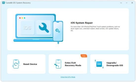 TunesKit iOS System Recovery 4.3.0.37 Multilingual