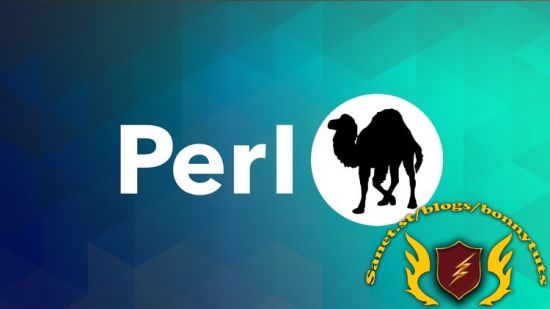 The Complete Perl Programming Course