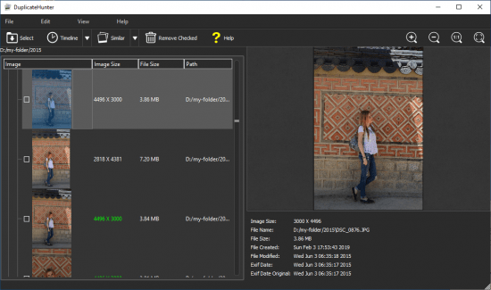 Teorex DupHunter 3.0.1