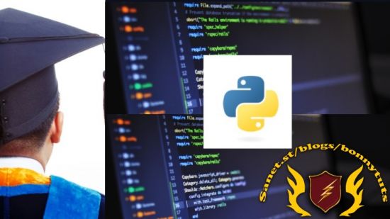 A Non-Programmer’s Guide to Python for Analytics