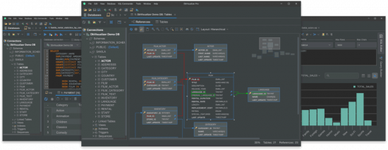 DbVisualizer Pro 24.1.4 x64