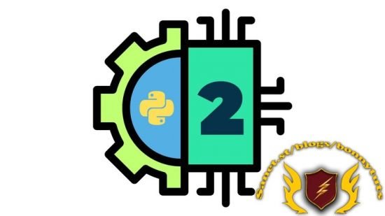 Python for VLSI Engineer P2 : Understanding COCOTB
