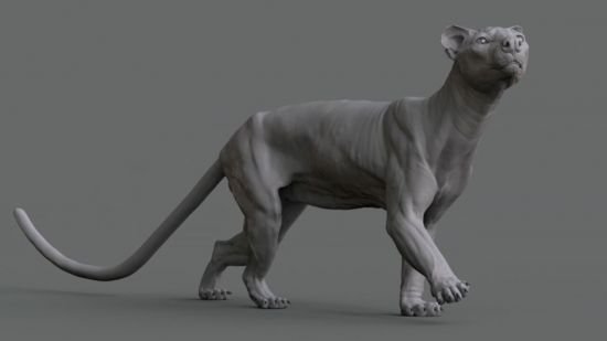 Animal Anatomy: Modeling a Fossa