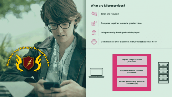Building Microservices in Go (2024)