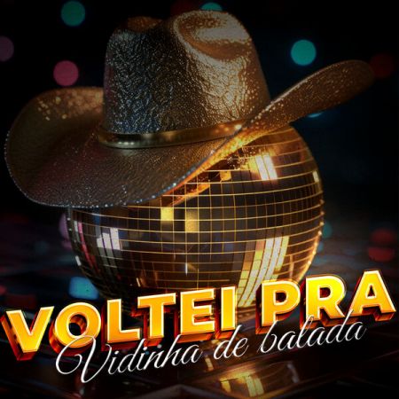 VA – Voltei pra Vidinha de balada (2024)