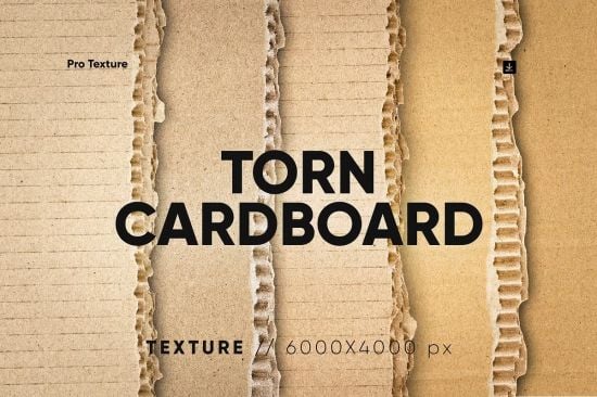 25 Ripped Cardboard Overlay - 278871995