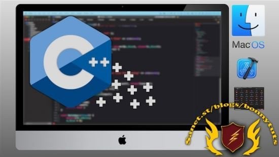 Detecting C/C++ Heap Issues in Xcode on macOS