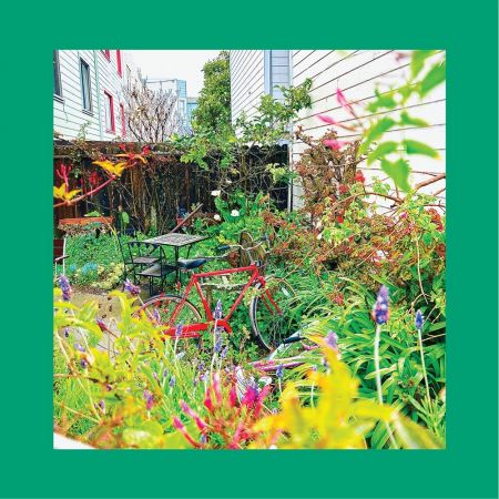 The Reds, Pinks and Purples – Unwishing Well (2024)