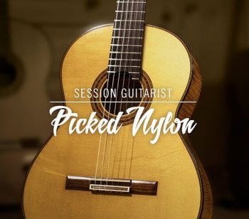 Native Instruments Session Guitarist Picked Nylon v1.1.0 KONTAKT-HiDERA screenshot