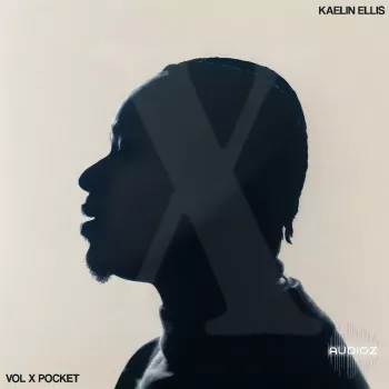 Kaelin Ellis Vol. X: Pocket WAV-FANTASTiC  screenshot