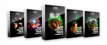 Flywavs DeBi HaCER MaS SaMPLes WAV Analog Lab V Bank-FANTASTiC