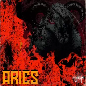 Major Loops Aries WAV-FANTASTiC screenshot