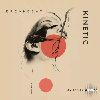 Zenhiser Kinetic Breakbeat WAV-BigFun