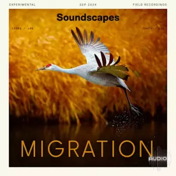 Splice Soundscapes Migration WAV-FANTASTiC screenshot