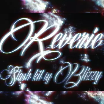 BLIZZY.MP3 Reverie Stash Kit WAV FST-FANTASTiC  screenshot