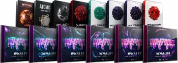 Cymatics WHALES Artist Pack WAV MIDI-GTA screenshot