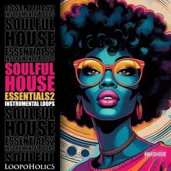 Loopoholics Soulful House Essentials 2: Loops WAV-FANTASTiC screenshot