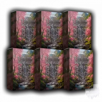 Noise Masters Liquid Box Drum & Bass Pack WAV MiDi FLP Serum Vital Presets-ARCADiA screenshot