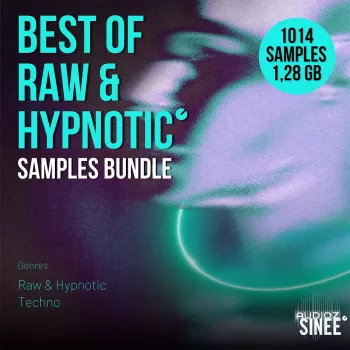 SINEE Best of Raw & Hypnotic Techno Sample Bundle WAV screenshot