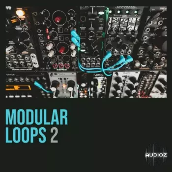 Shed Skin Records Shed Skin Records Modular Loops 2 WAV screenshot