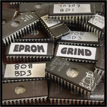 Goldbaby EPROM Grind MULTiFORMAT