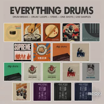 Retro Loops Everything Drums (One-Shots and Drum Breaks) WAV screenshot