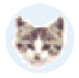 jnkTBnk8HjqumgWvDbuJxIDWU5h6cMjR