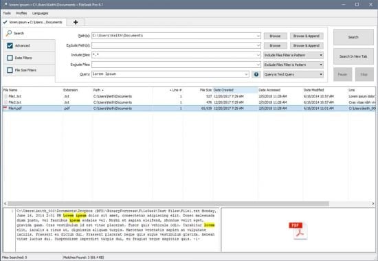FileSeek Pro 7.1 Multilingual