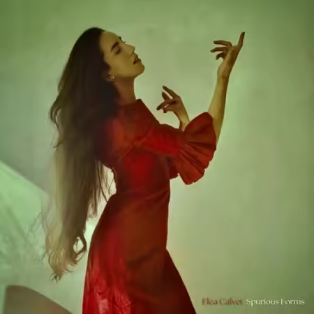 Elea Calvet – Spurious forms (2025)