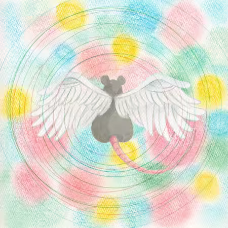 th_GTeftIU5Y9Lyx5L7GvQ9r338C2jDA0eS.avif_