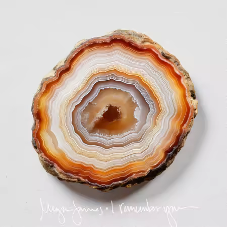 Megan James – I Remember You (2025)