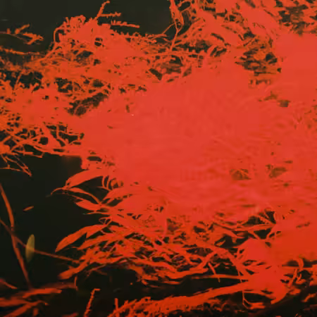 th_bsW5NS8gMbm0cOKBcDUQS1YMH8jvhFoj.avif_ th_bsW5NS8gMbm0cOKBcDUQS1YMH8jvhFoj.avif_